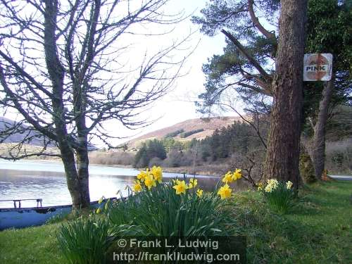 Lough Talt, County Sligo